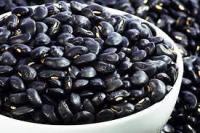 pulses