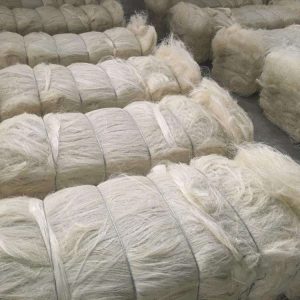 Sisal Fiber