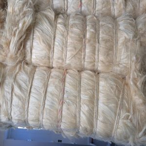 Sisal Fiber Grade No. 3 Short