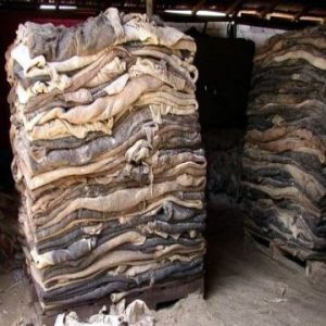 Leather Product