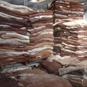 Cow Hides
