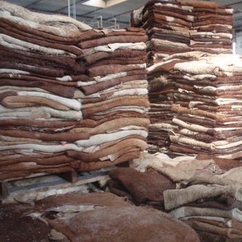 Cow Hides 1 Cow Hides