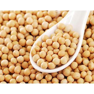 Soya Beans